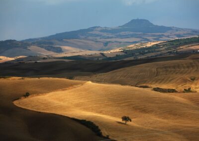 Contatti - Vacanze Val d'Orcia