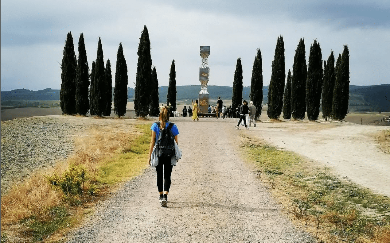 Cipressi lungo la Via Francigena vicino Radicofani
