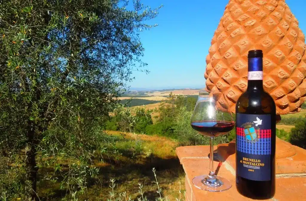 Degustazioni Cantine in Valdorcia: Brunello e Vino Nobile