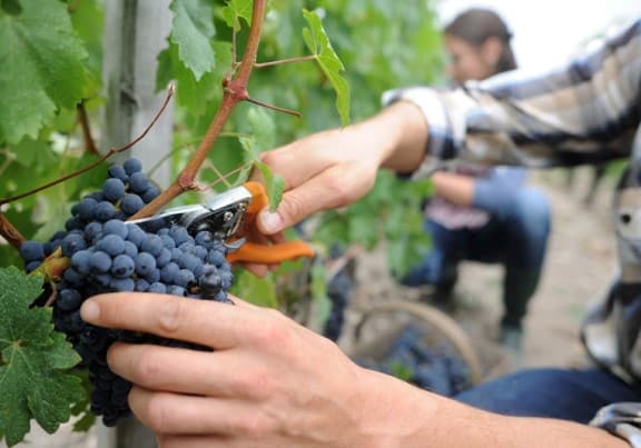 Cantina storica sotterranea Montepulciano Vino Nobile